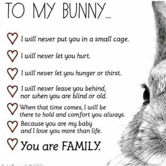 MEET MY BABY! - Picture 5 of 5